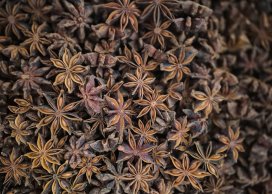 ANISE