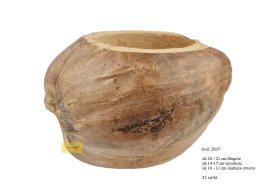 COCO SHELL 25 cm lenght, 18 cm width, 10 cm hole diemeter.