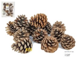 PINE CONE 5CM-7CM  NATURAL -12PC/PACK -available 42 pb