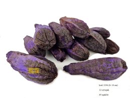 Mehogany 8-10 cm violet color 12 pc/pb