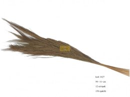 BROOM GRASS TRAWA NATURALNA SUSZ  90-110cm 12 szt w opakowaniu