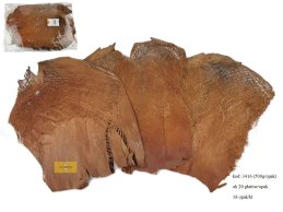 COCO PALM BARK NATURAL 500 g / PACK 
