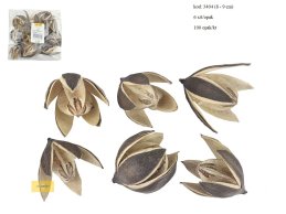  LILY 8-9 cm naturalna 6 szt/opak