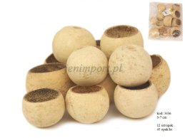 BEL CUP NATURAL  5CM- 7 CM -12PC/PACK