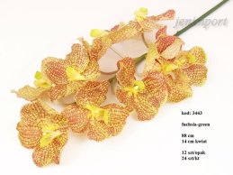 ORCHIDEA FUCHSIA GREEN 88CM - DUŻA