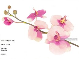 PHALAENOPSIS MAUVE 108 CM- DUŻY