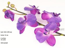 PHALAENOPSIS  DK.PURPLE 108 CM- DUŻY