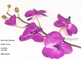 PHALAENOPSIS LT.PURPLE 108 CM- DUŻY 