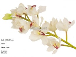 CYMBIDIUM WHITE 85 CM -FRESH TOUCH